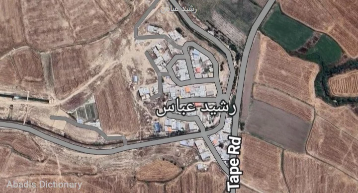 رشید عباس